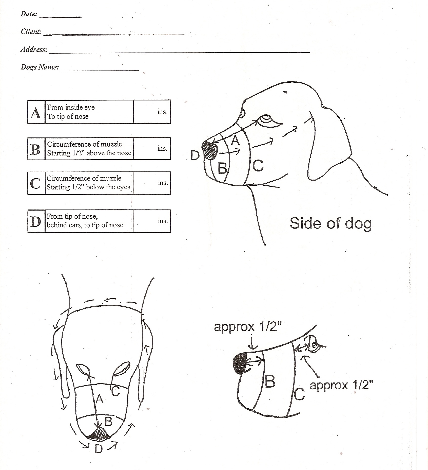 Muzzle measurement chart 2017